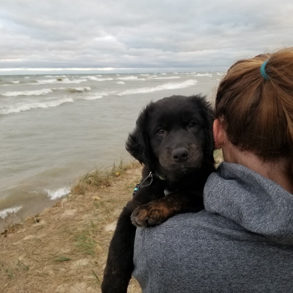 Meet your Posher, Aloha Brunch - Picture 3 of 8